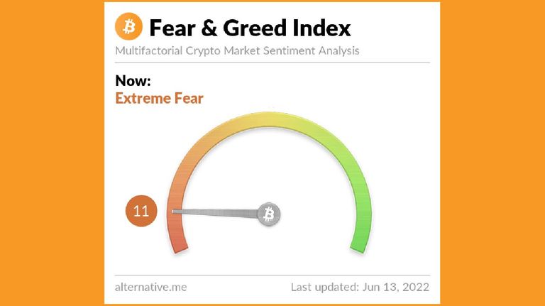 Bitcoin Fear and Greed Index is 11 20220613