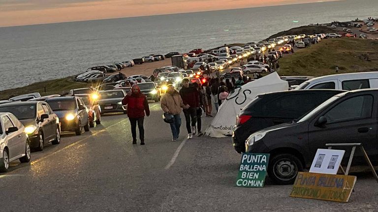 Complejo Punta Ballena 20231113