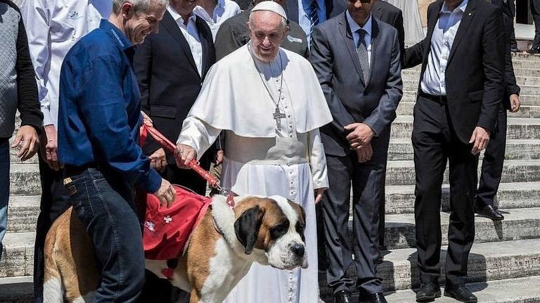 El Papa Francisco volvió a referirse hoy al problema de la natalidad en Italia 20231212