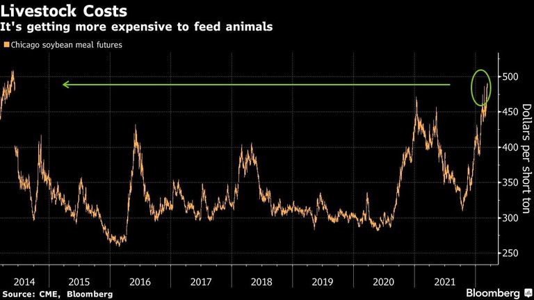 It's getting more expensive to feed animals