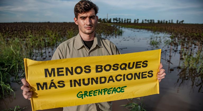 deforestacion chaco 30012019
