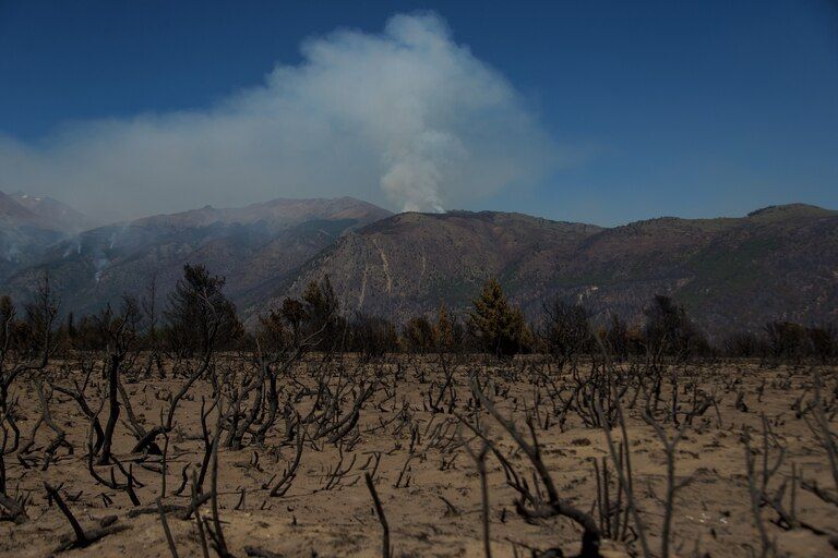 Incendios en El Bolsón
