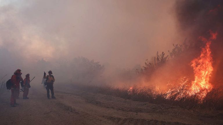 California incendio forestal Mountain Fire 20241108