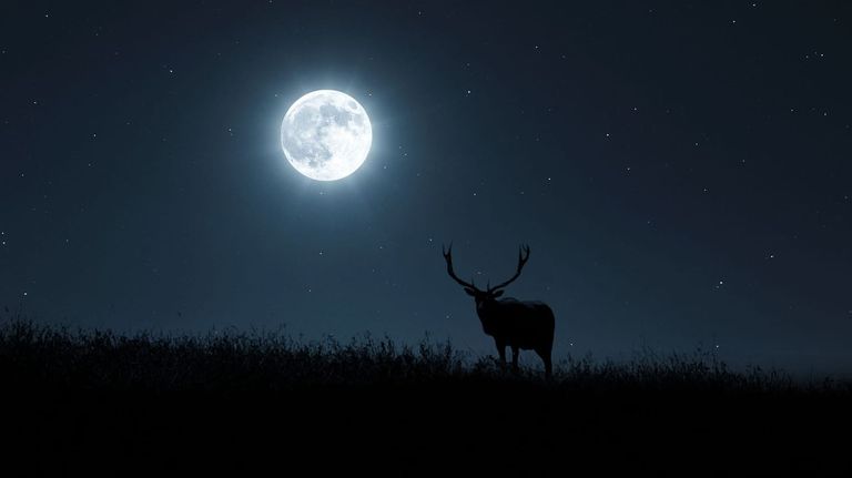 Superluna de Ciervo