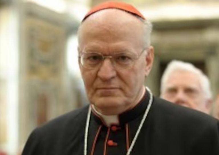 Los posibles sucesores del Papa Francisco 20250421