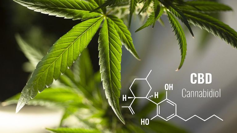 A partir de septiembre,el país contará con una producción íntegramente nacional de cannabis medicinal. 20210823