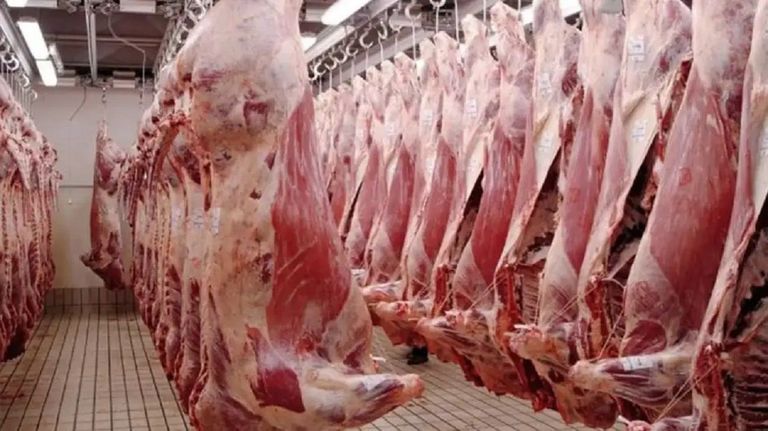 carne