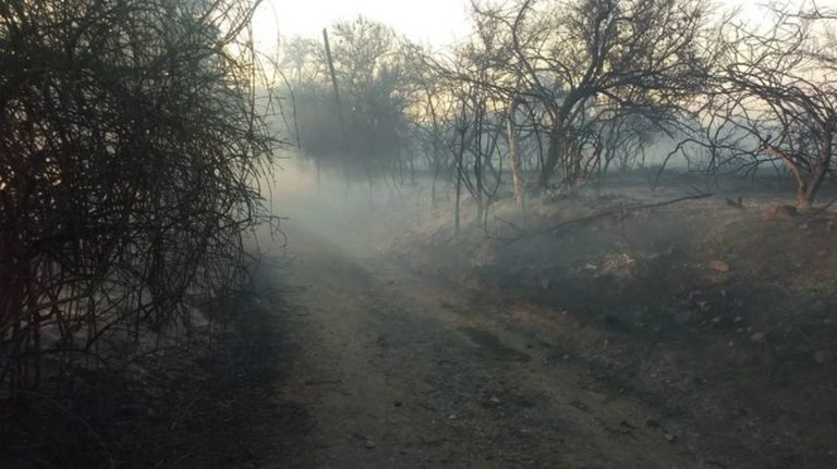 incendios forestales cordoba 