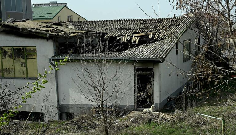 Horror en Macedonia incendio en la discoteca Pulse 20250317
