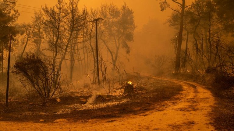 Grecia Incendio