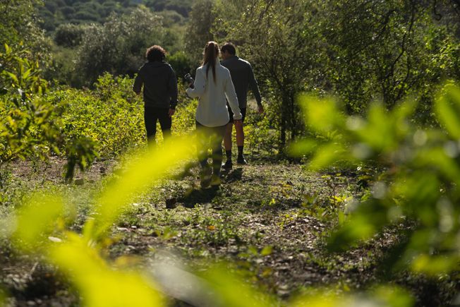 Trekking
