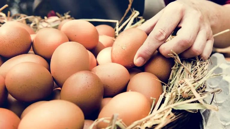 Consumo récord de huevos
