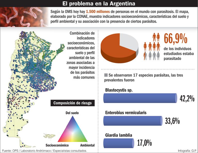 Infografia parásitos intestinales