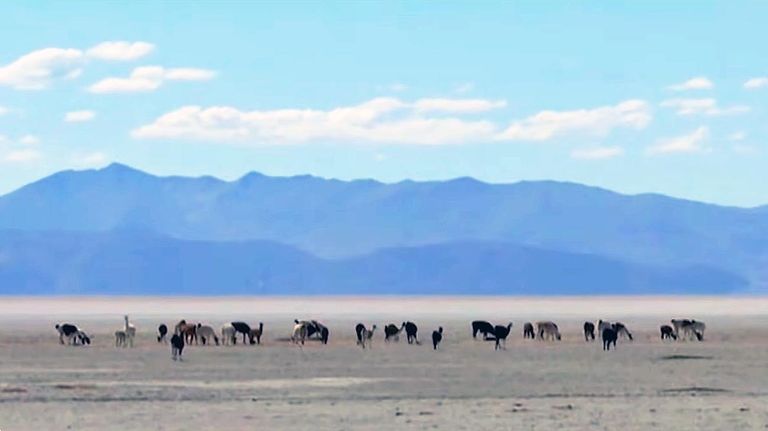  lago Poopó 20210809