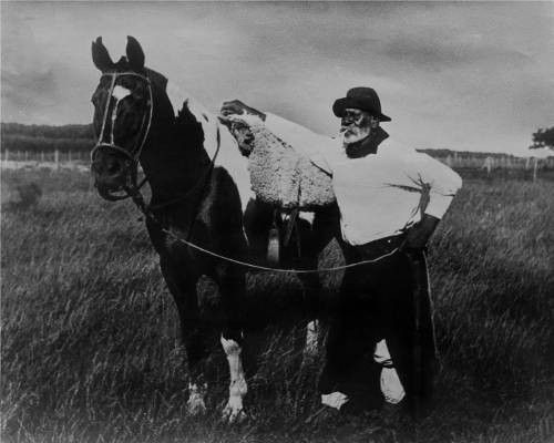 Don segundo sombra