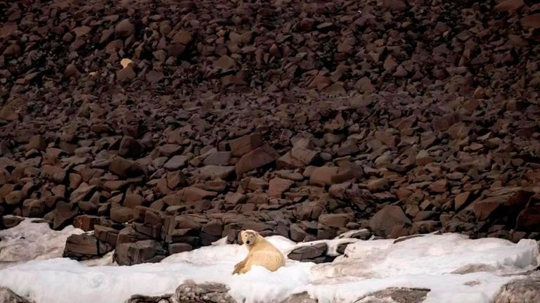 Investigación Científica en el Ártico 10092025