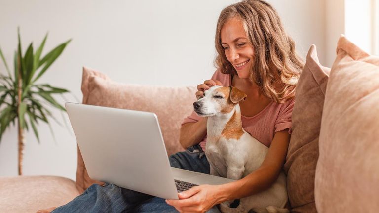7 señales de que un perro confía en su dueño 20220927º