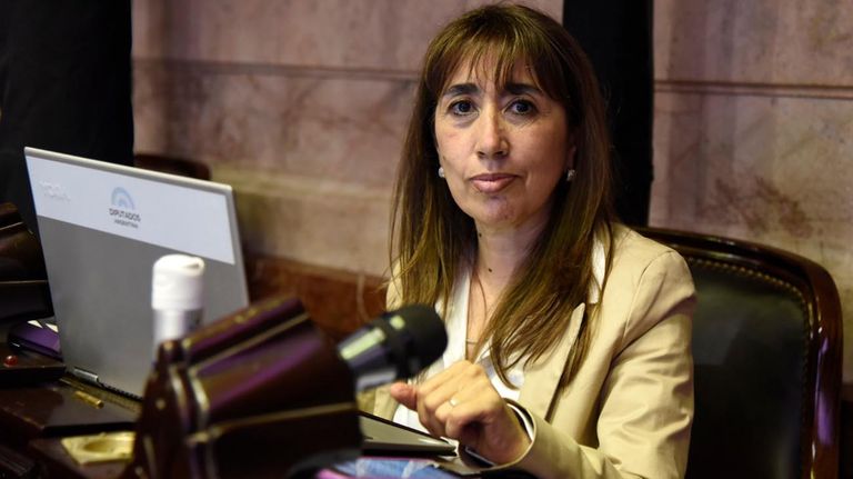 diputada por santa cruz Roxana Reyes 20201211