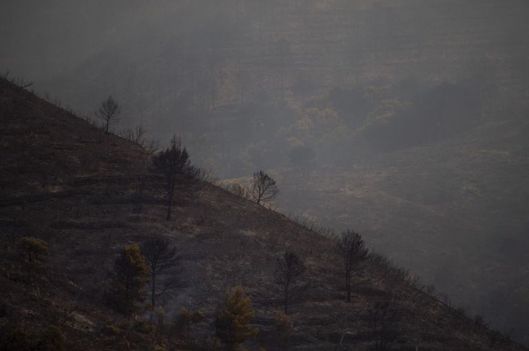 Incendios forestales causados por el calor en Francia