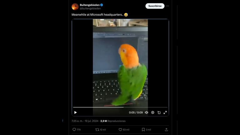 Memes por la falla de Microsoft