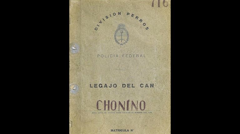 Chonino, el héroe que inspiró el Día Nacional del Perro en Argentina