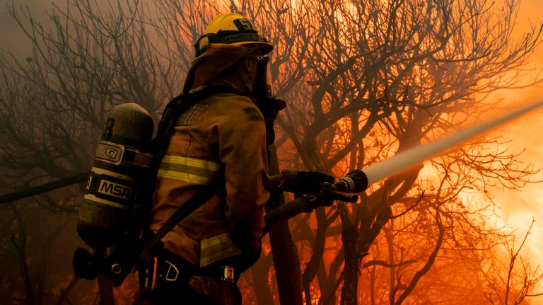 California incendio forestal Mountain Fire 20241108