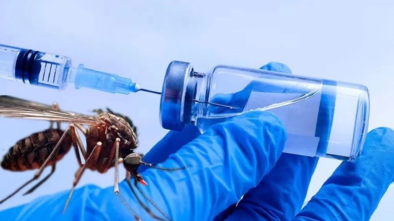 Dengue