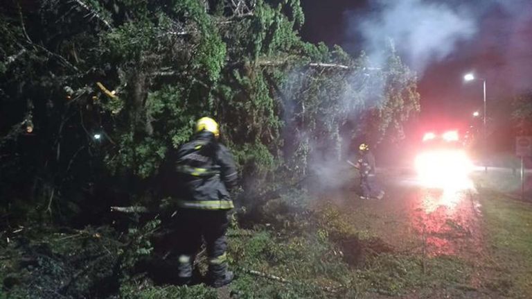 Temporal en Escobar