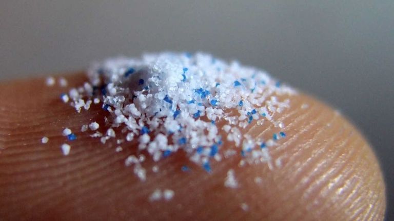 Detectan presencia de microplásticos en los testículos.