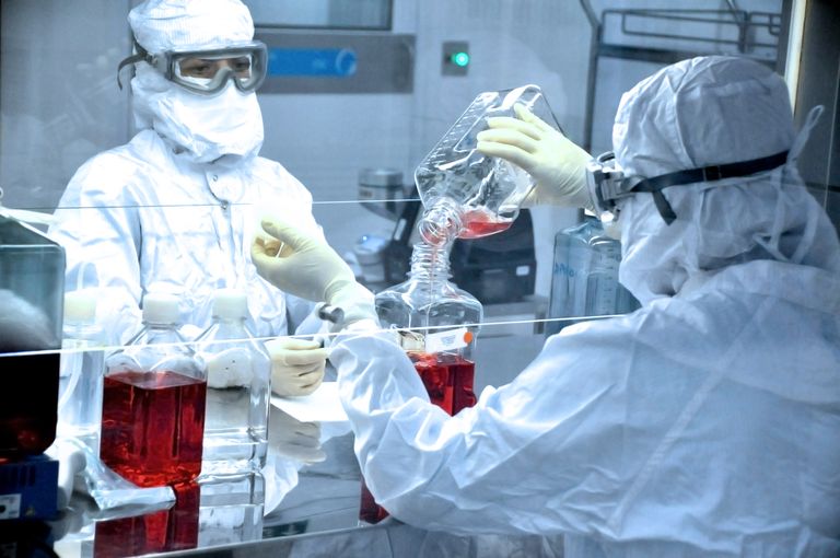 Laboratorio Fiocruz, Brasil. 