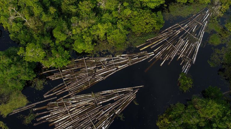 Deforestación en el Amazonas 20211119