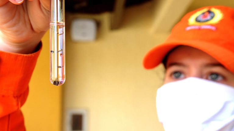 Estudio del Dengue