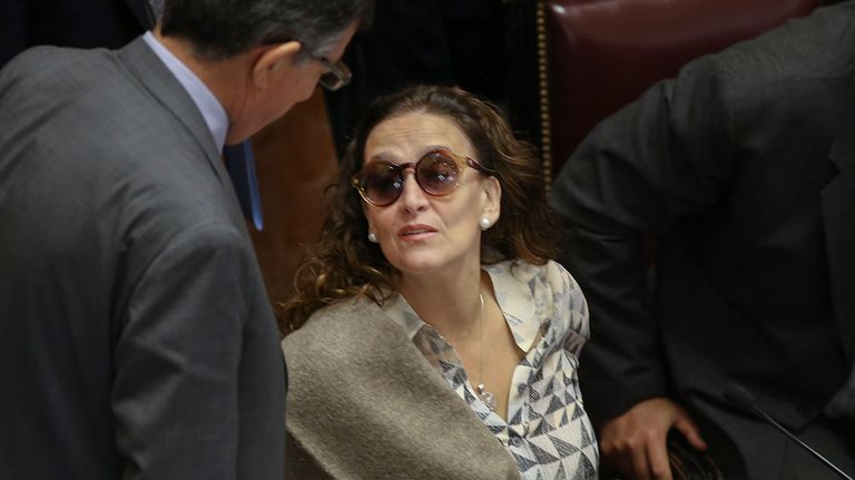 Senado CFK 08222018