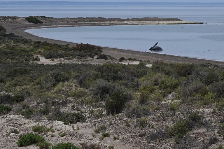 Chubut