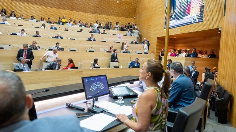 La oposición en la primera sesión del año 2026