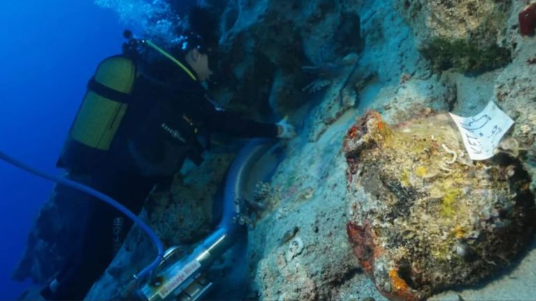 La embarcación comercial data de entre 4.400 y 4.700 años de antigüedad