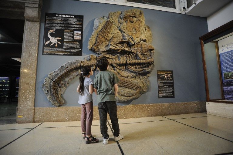 dinosaurio marino calafate afp