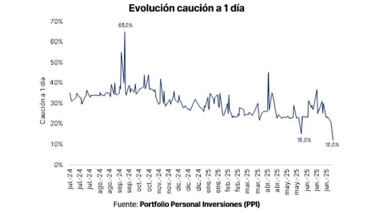 Tasas de caución