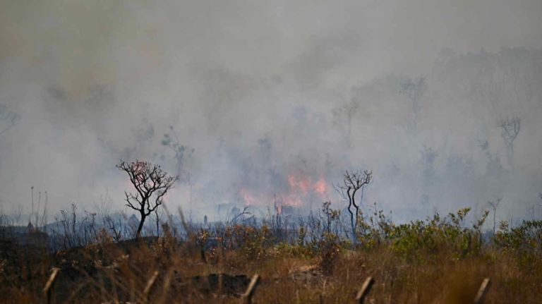 BRASIL MEDIO AMBIENTE INCENDIO 20240916