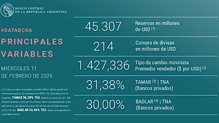 BCRA grafico 20260211