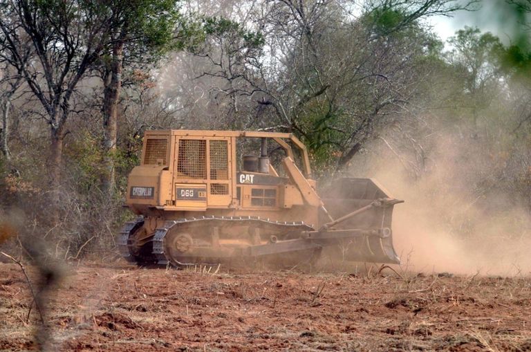 Ecología en peligro por la Ley Omnibus