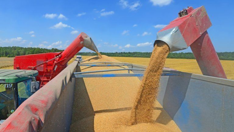 De Mendiguren dice que hay que exportar más para conseguir más dólares