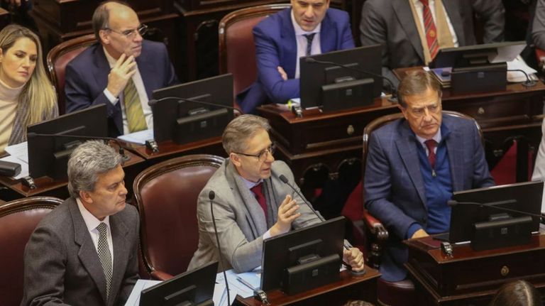 El presidente del bloque radical en el Senado, Eduardo Vischi