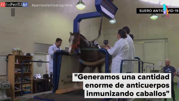 Tratamiento con el suero equino anti Covid-19
