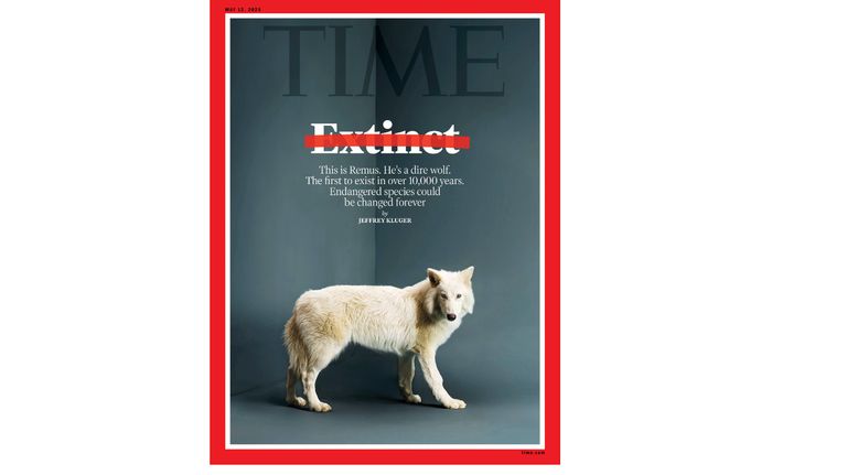 20250408 Tapa de la revista Times