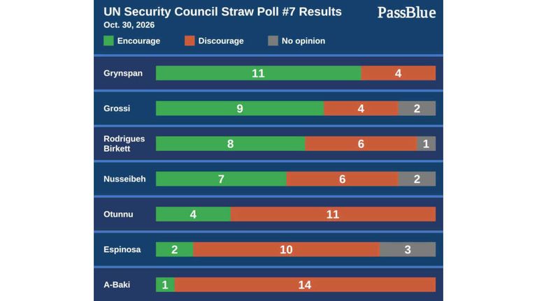 Resultados de la Encuesta Preliminar 7 del Consejo de Seguridad de la ONU