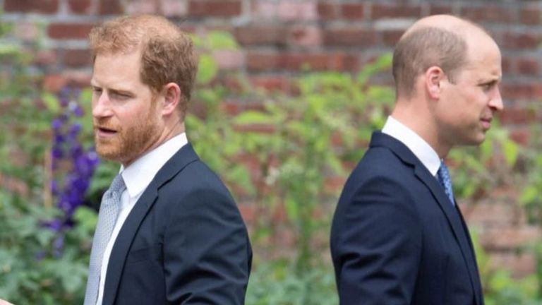 Harry y William