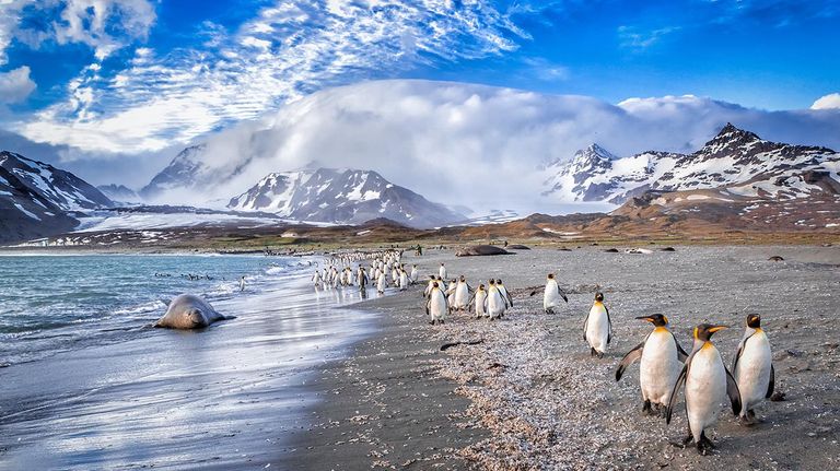 Islas Malvinas 20220408