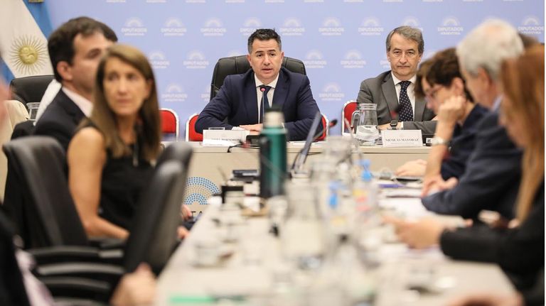 SEGUNDO DÍA DE EXPOSITORES EN DIPUTADOS, CON 62 ONGS PARA SEGUIR AVANZANDO CON LA LEY