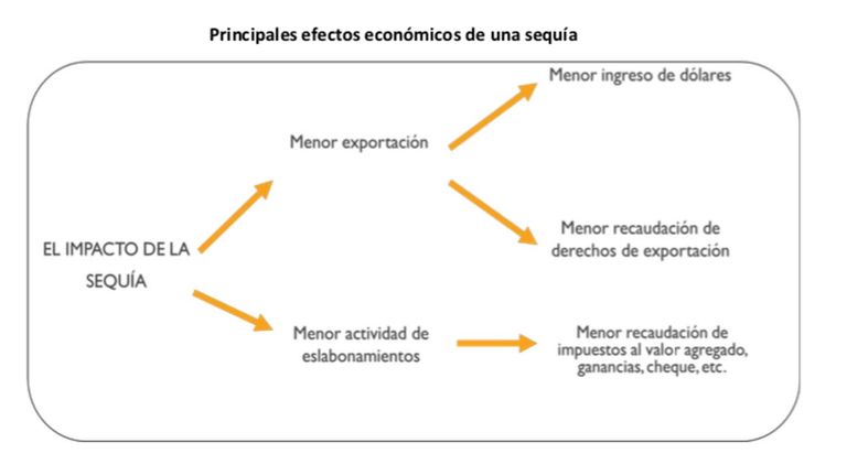 Principales efectos económicos de la sequía